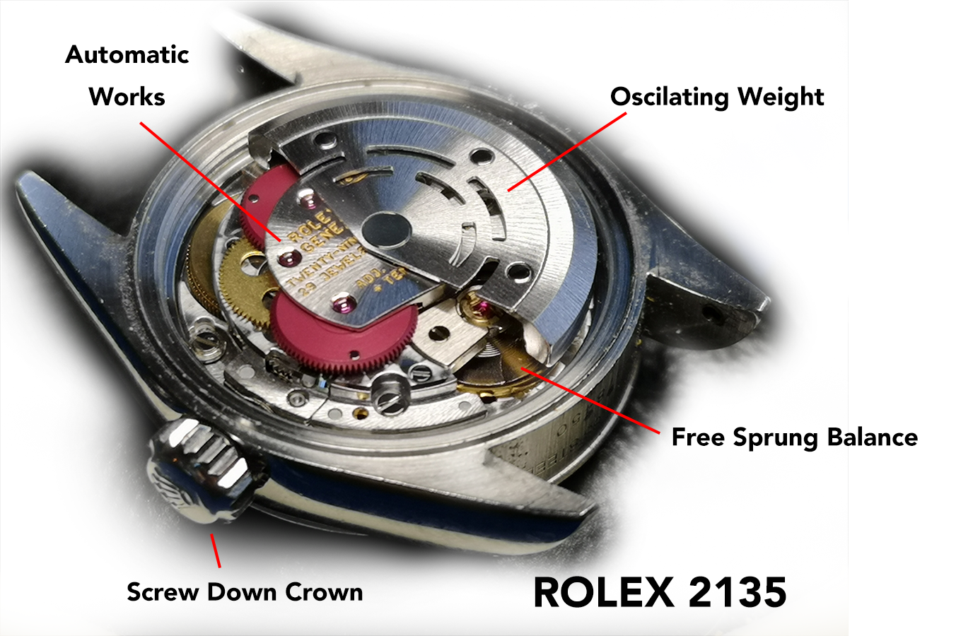 Image of Main components of the Rolex 2135 Movement
