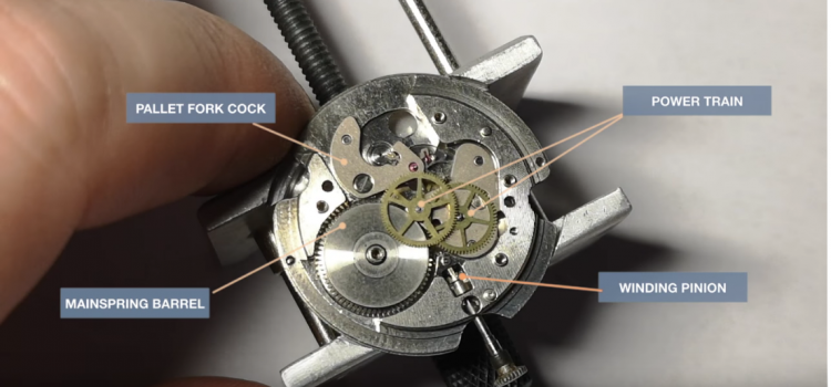 Seiko Seahorse Service – Seiko Automatic 6601B Calibre Seiko Seahorse Service – Seiko Automatic 6601B Calibre